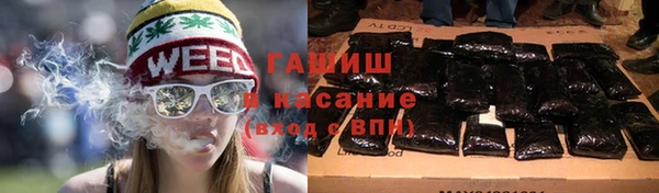 сатива Козловка