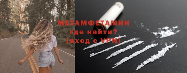 сатива Козловка