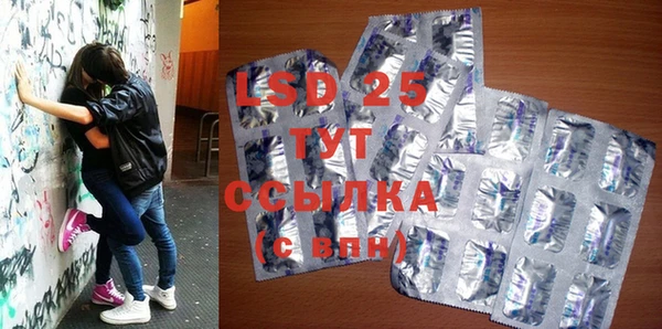 сатива Козловка