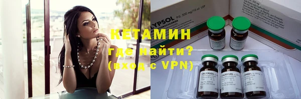 сатива Козловка