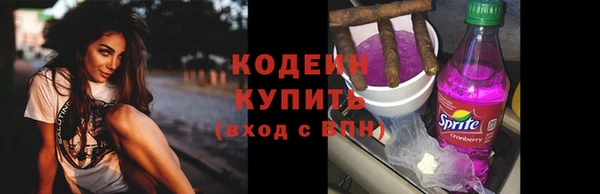 соль ск Кодинск