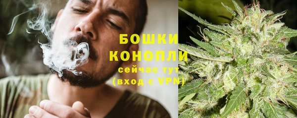 первитин Козельск