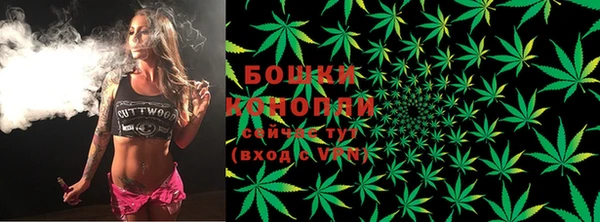сатива Козловка