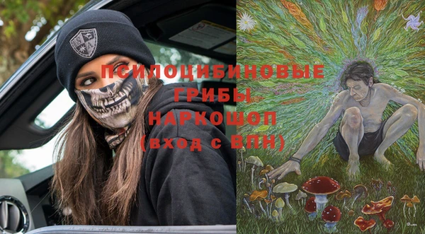 соль ск Кодинск