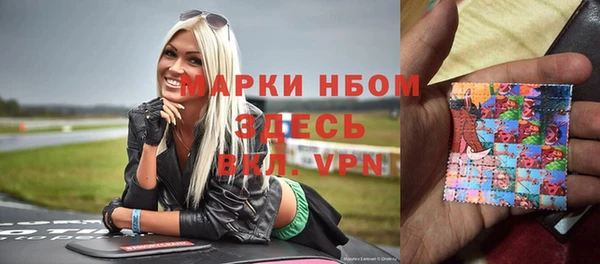 сатива Козловка